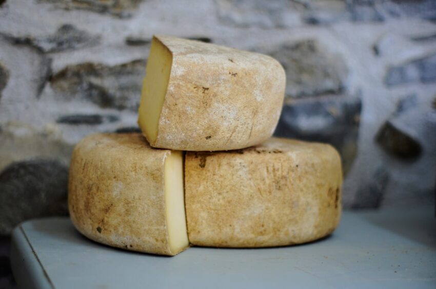 Photo Goat cheese
